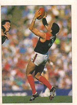 1992 Select AFL Stickers #156 Garry Lyon Front